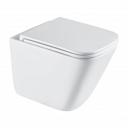 Подвесной унитаз безободковый Terminus Ватикан Монолит 490х340 белый Альметьевск - фото 2