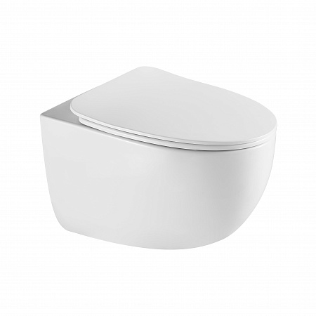 Подвесной унитаз безободковый Terminus Енисей Монолит 560х390 белый Альметьевск - фото 2