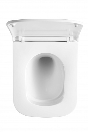 Подвесной унитаз безободковый Terminus Ватикан Монолит 490х340 белый Альметьевск - фото 3